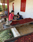 Colombia Jairo Arcila – Strawberry Co-Fermentation