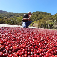 Organic Honduras Marcala COMSA