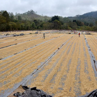 Organic Honduras Marcala COMSA