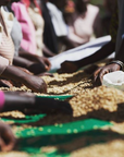 Rwanda Kigali Inzovu Peaberry