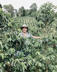 Colombia Sebastian Ramirez - Red Fruit Co-Fermentation