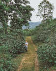 Colombia Sebastian Ramirez - Purple Fruit Co-Fermentation