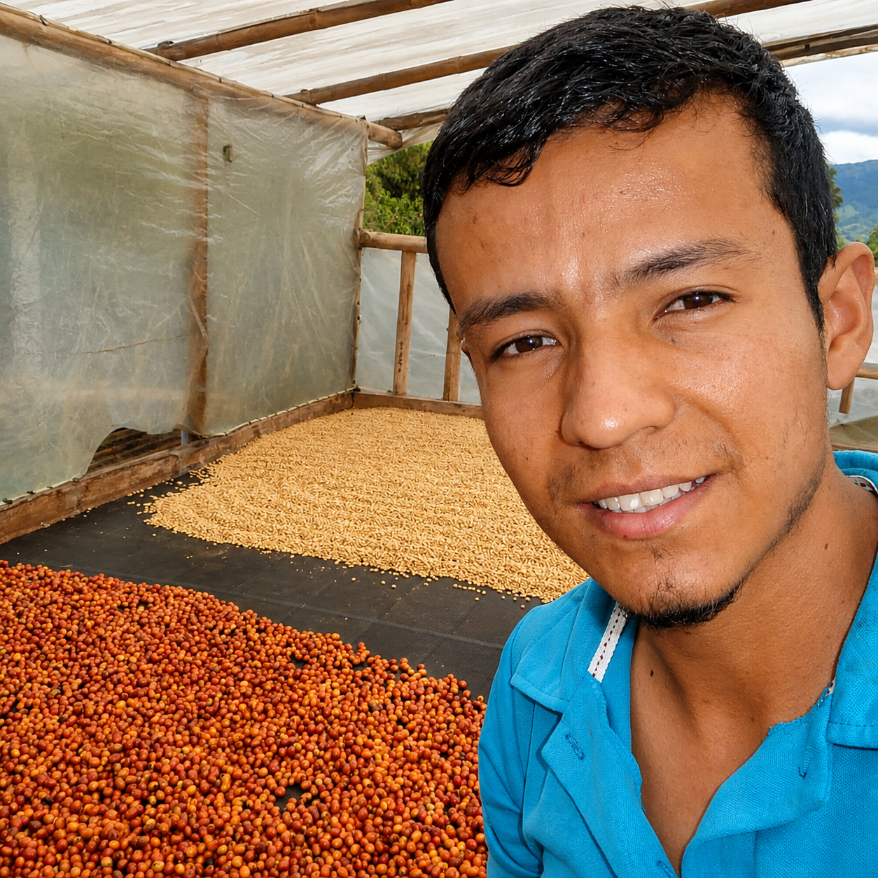Colombia Finca El Chaferote II Washed Pink Bourbon coffee bag, styled