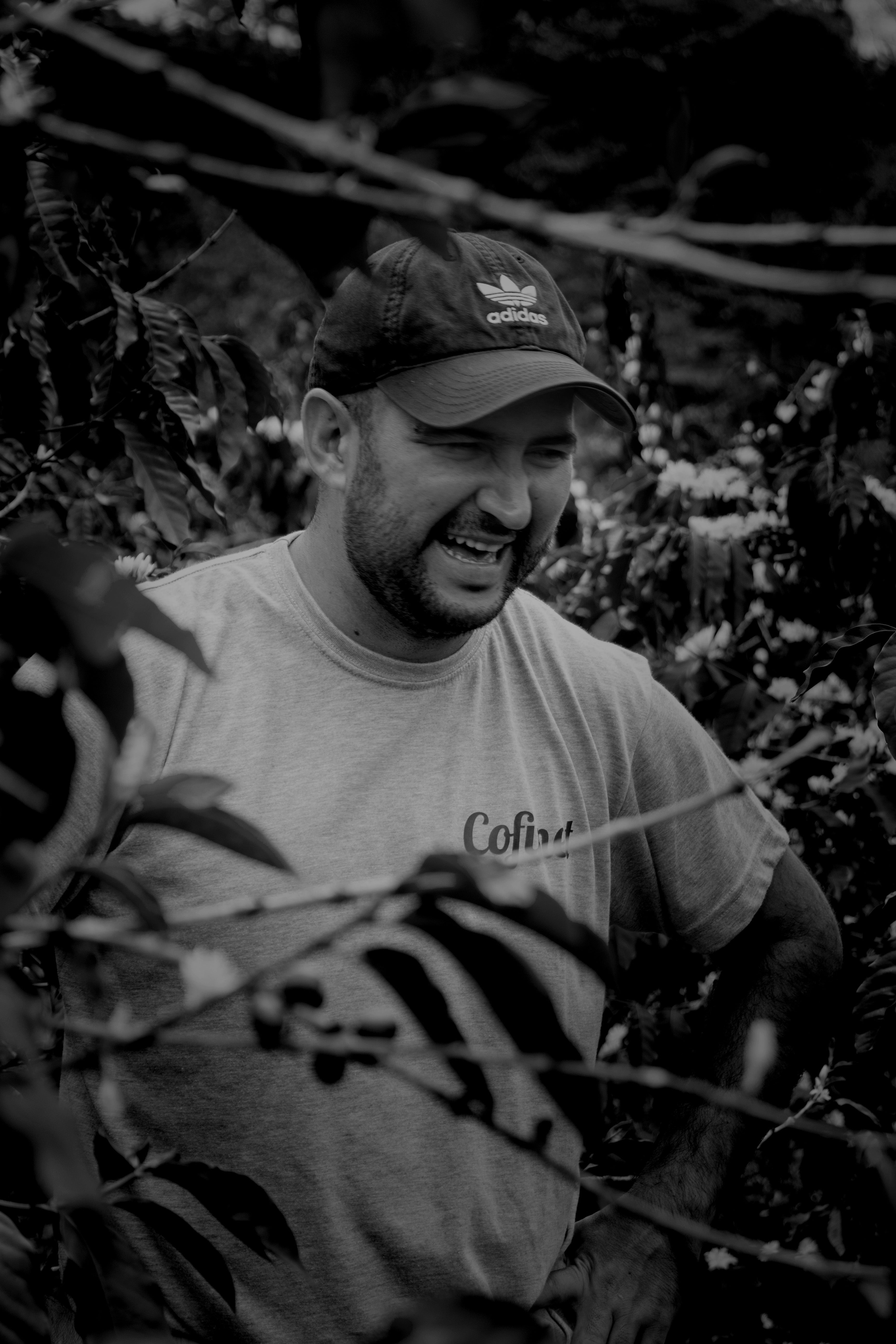 Colombia Jardines Sidra Bourbon EF2 – Kings Arms Coffee Co.