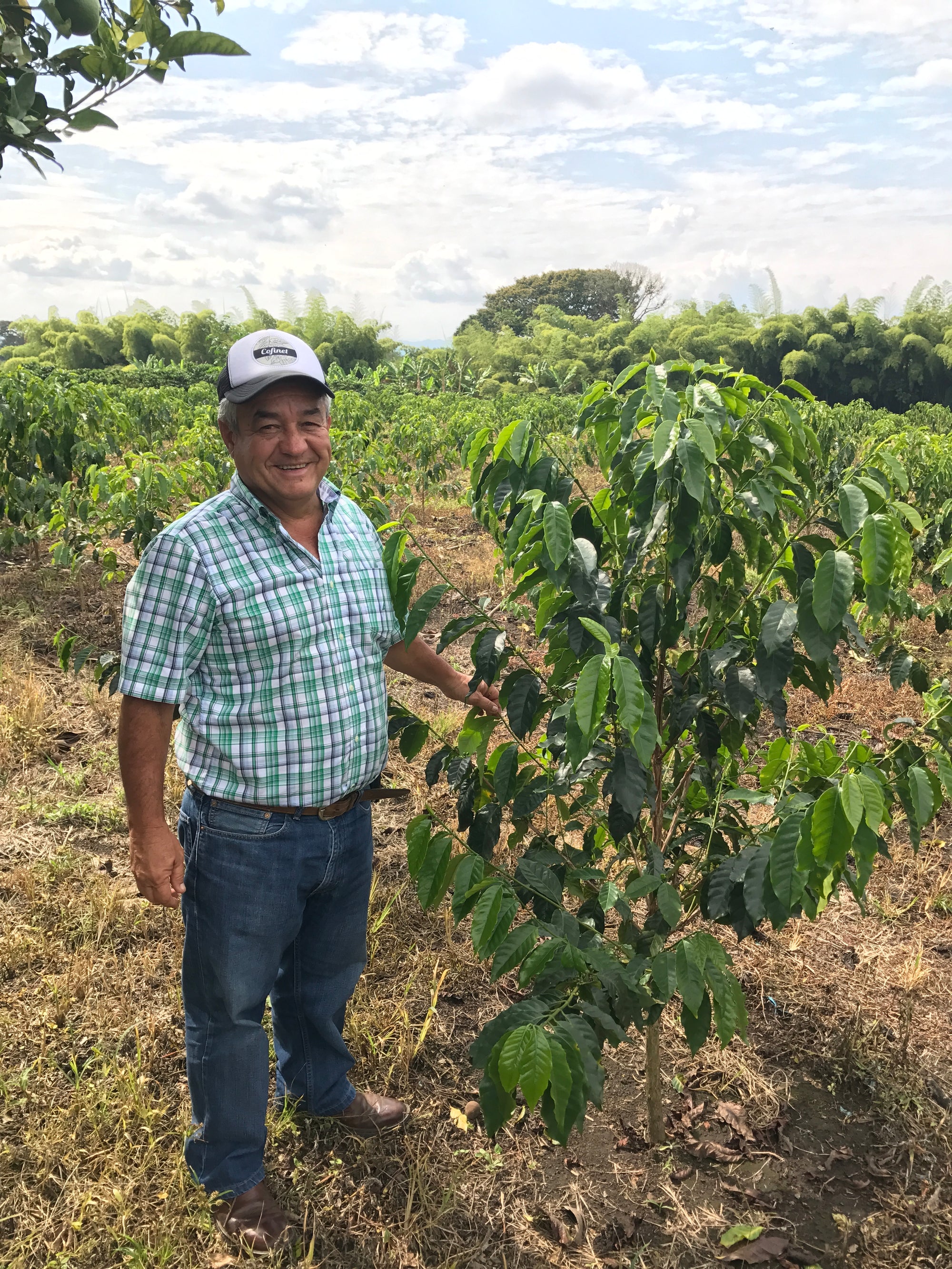 Colombia Jairo Arcila – Strawberry Co-Fermentation