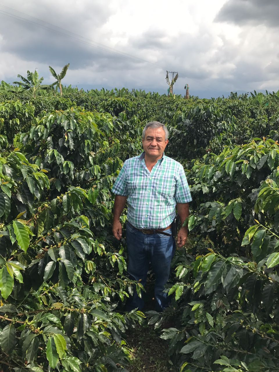 Colombia Jairo Arcila – Strawberry Co-Fermentation