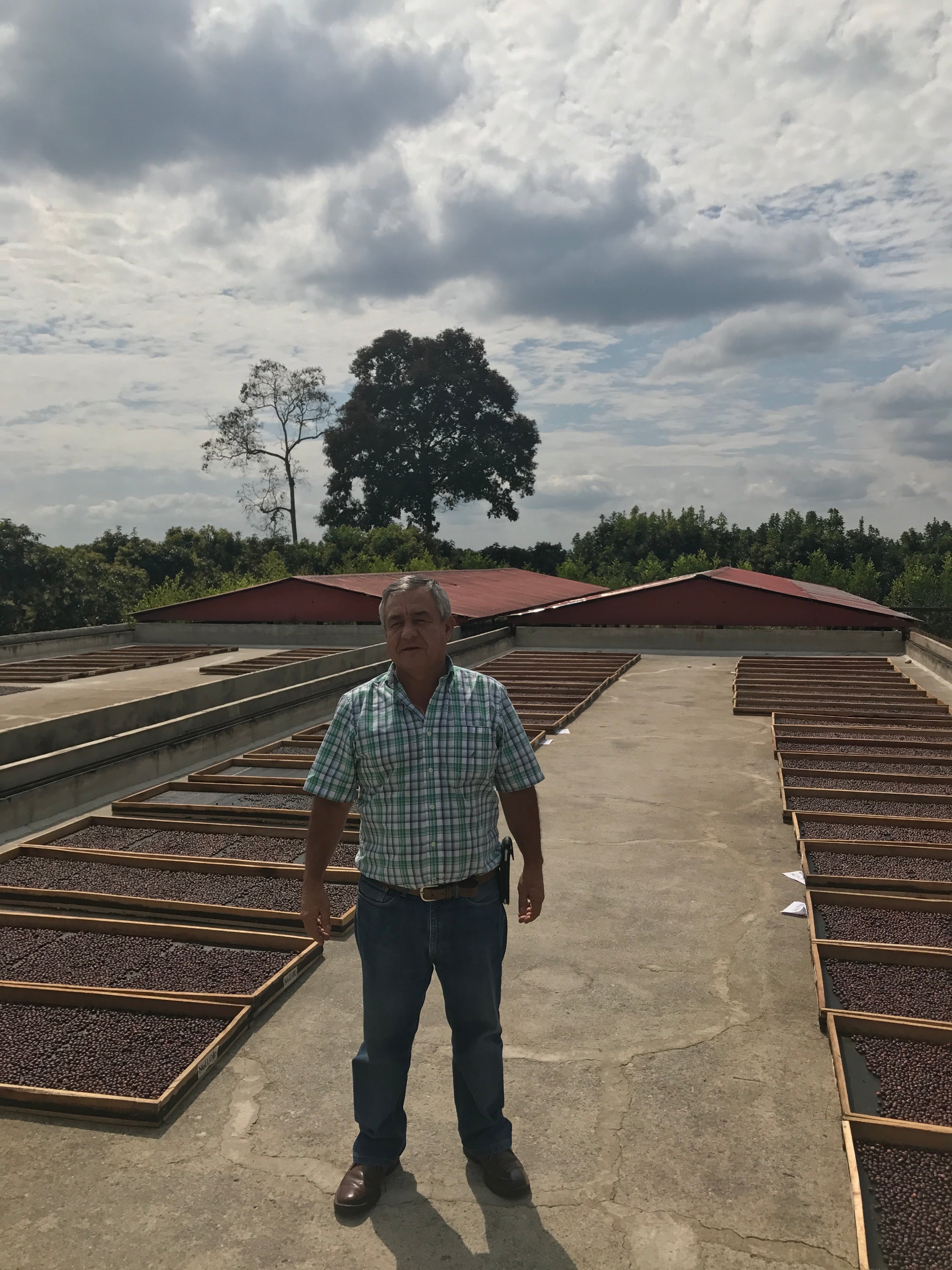 Colombia Jairo Arcila – Strawberry Co-Fermentation