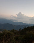 Organic Mexico Chiapas FESICH