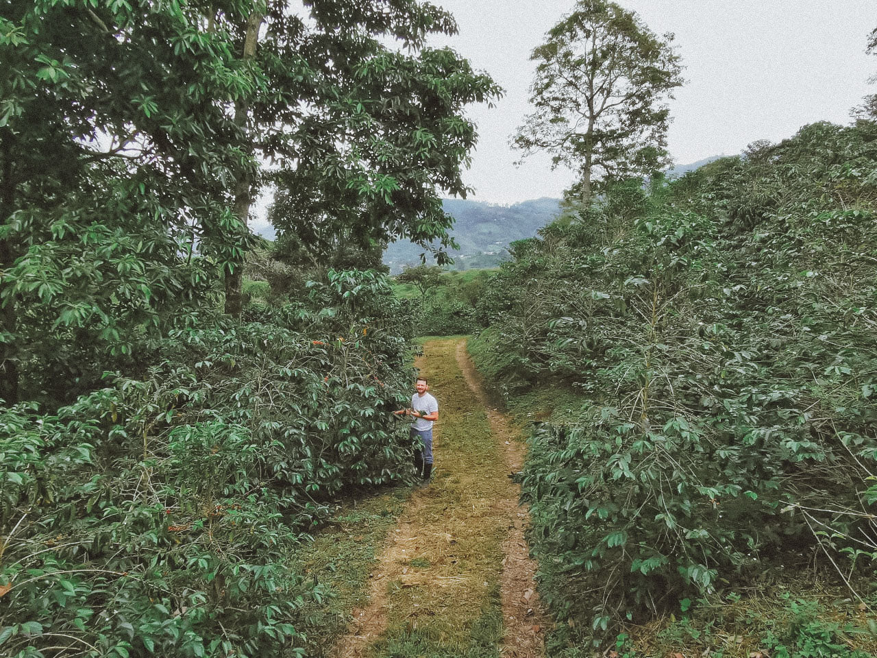 Colombia Sebastian Ramirez - Red Fruit Co-Fermentation