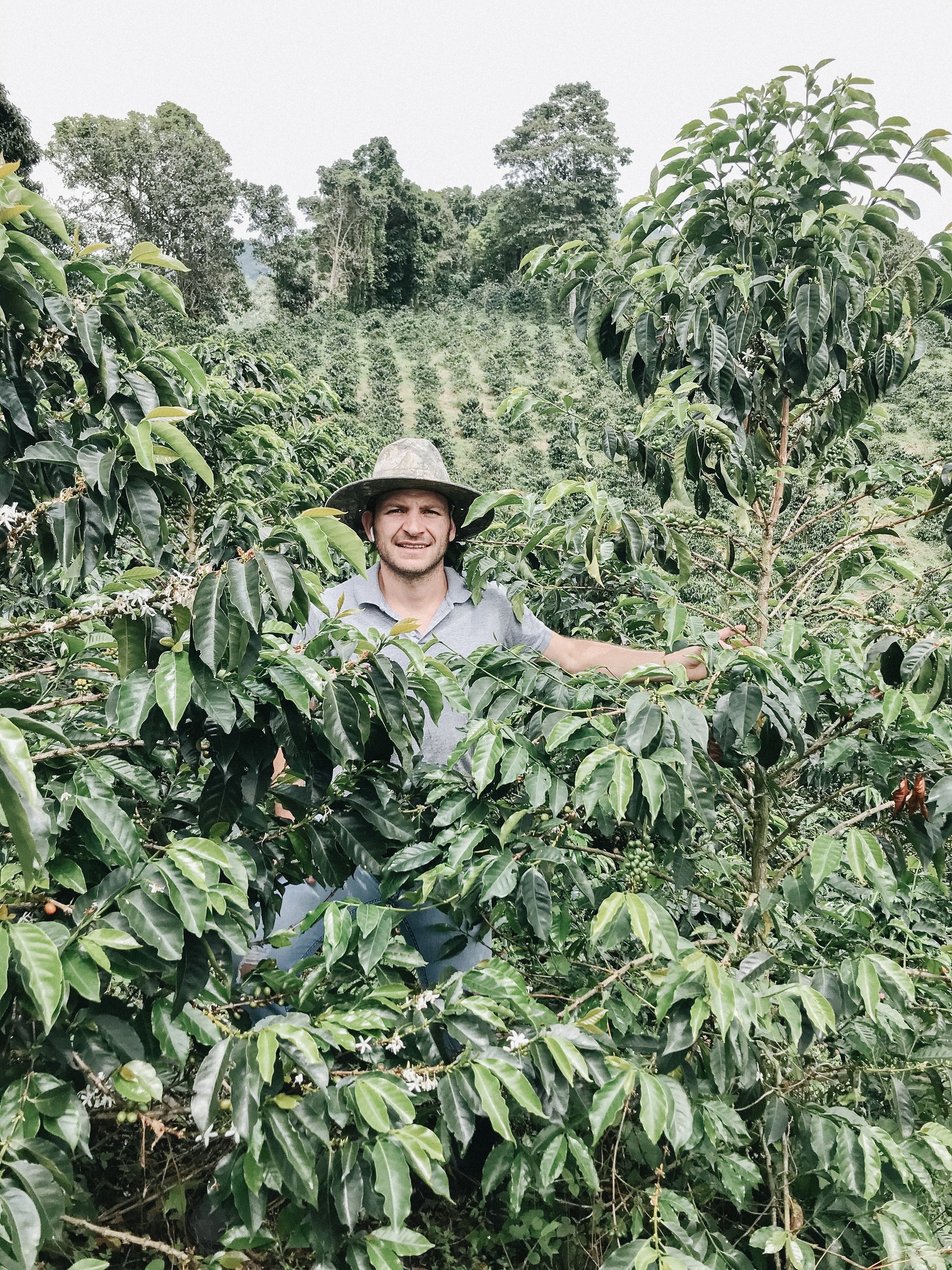 Colombia Sebastian Ramirez - Red Fruit Co-Fermentation