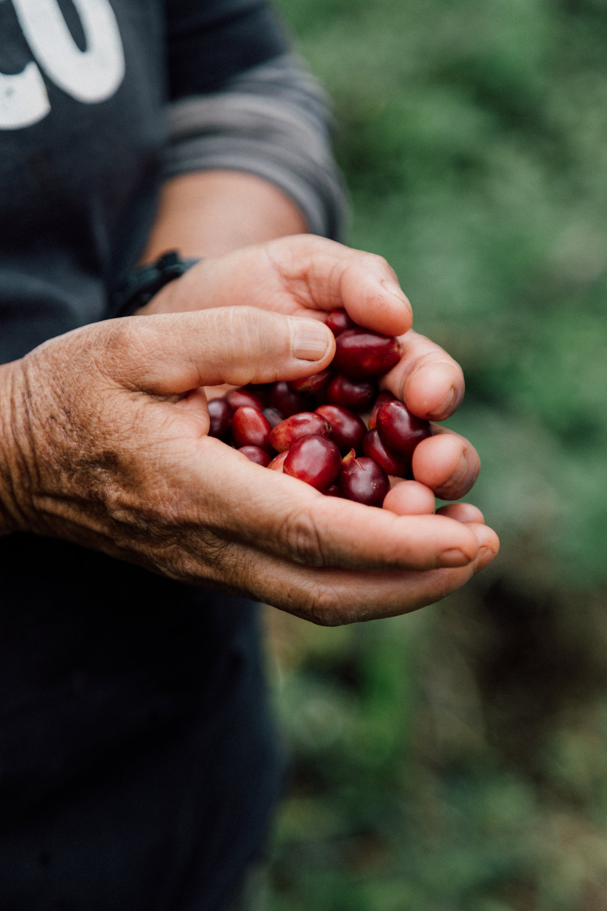 Colombia Carmen Montoya Chiroso – Washed, Double Fermentation