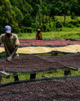 Masha washing station, Kayanza, Burundi