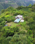 Colombia Finca El Chaferote II – Washed Pink Bourbon