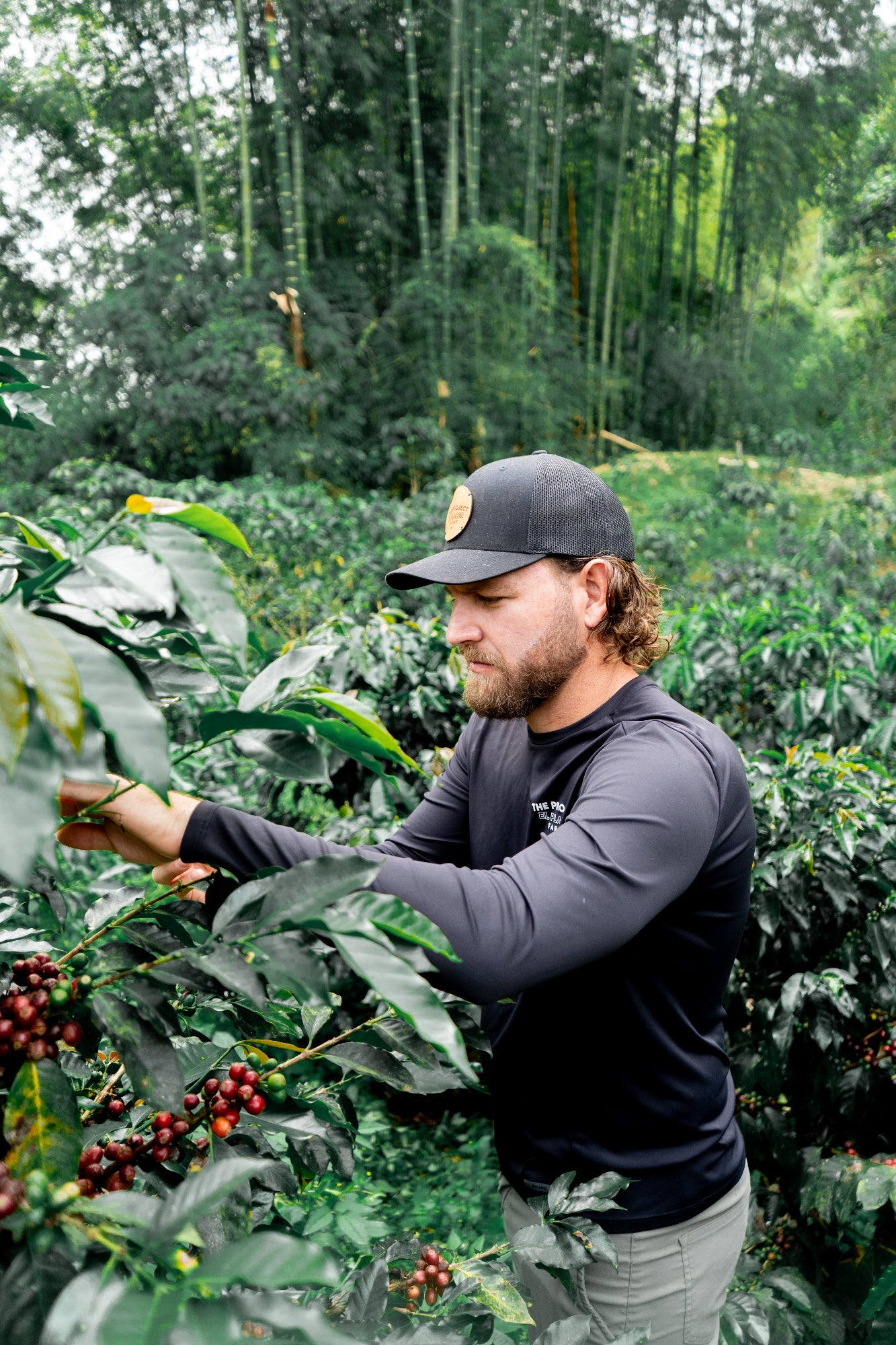 Colombia Sebastian Ramirez - Watermelon Co-Fermentation